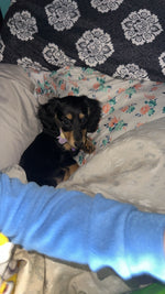 Millie