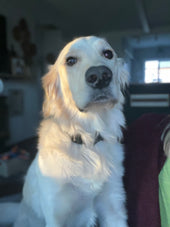 Tucker