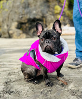 Gidget