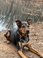 Zoe