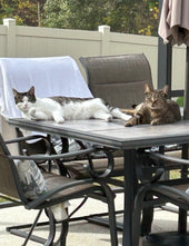 Lily and Binx
