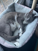 Tom