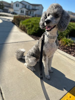 Maggie