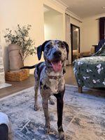Nora