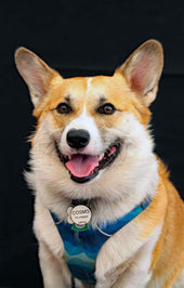 Cosmo