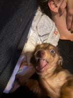 Cash