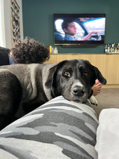 Rex