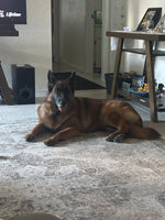 Chloe