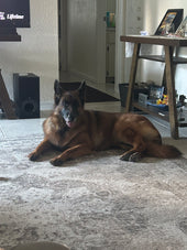 Chloe