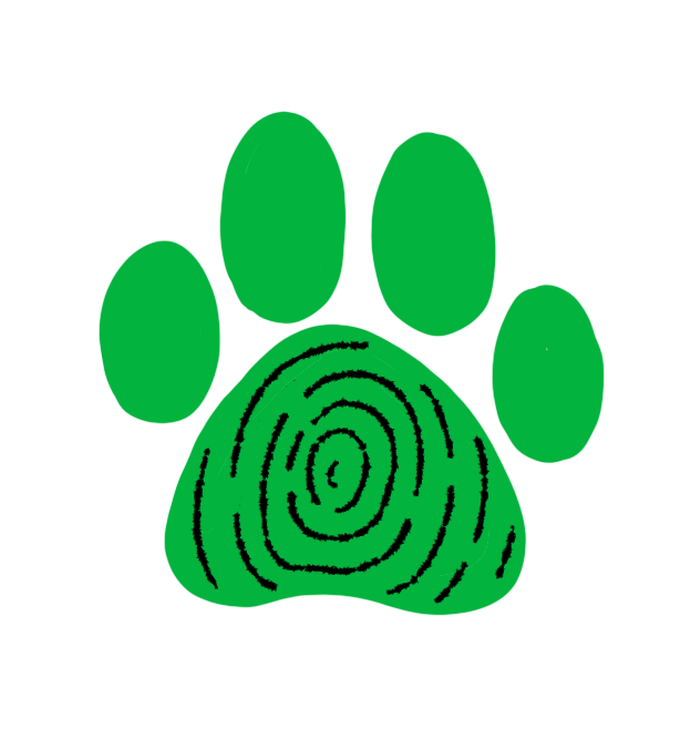 Digestive Support for Dogs – Open Farm