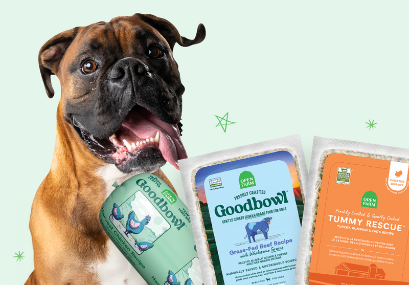 Kibble Comparison Chart Dog – Open Farm
