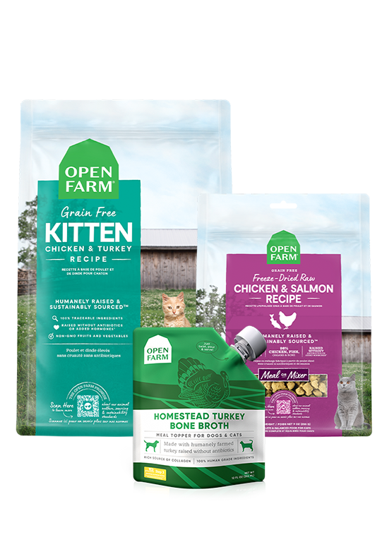 New Kitten Pack by Open Farm