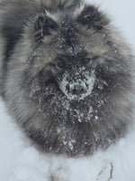 Nimbus