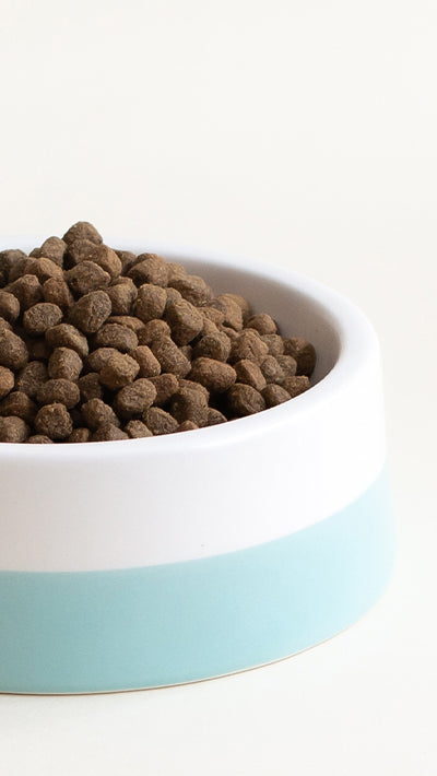 Dry Dog Food