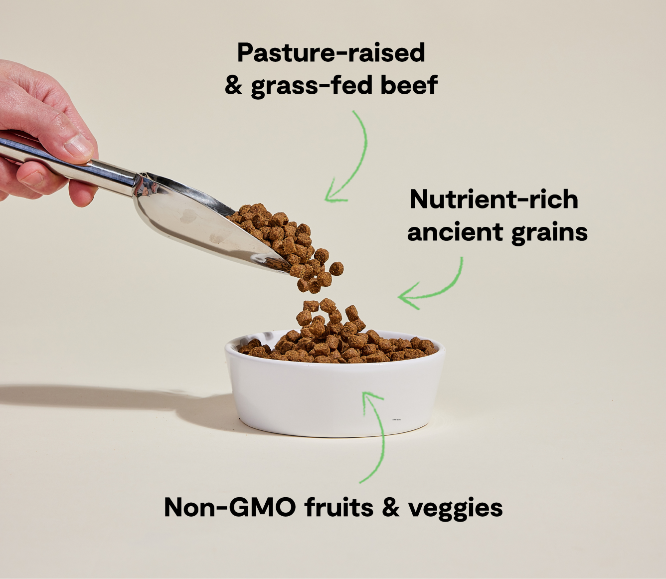 Grass-Fed Beef Ancient Grains Dry Dog Food Open Farm