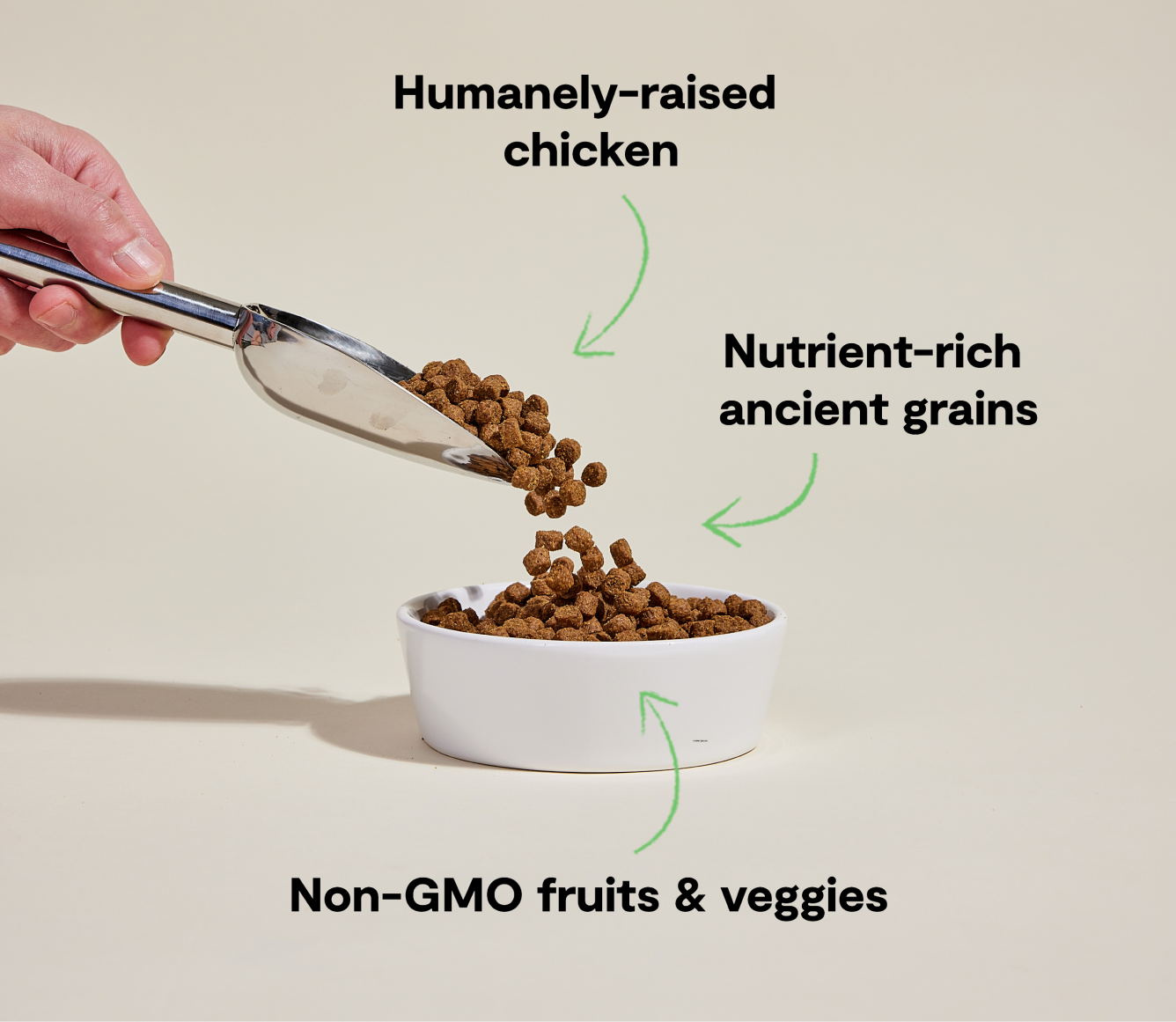 Nutrient-Rich Chicken Dry Dog Food with Ancient Grains Open Farm