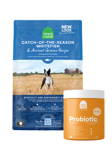 Whitefish & Probiotic Bundle