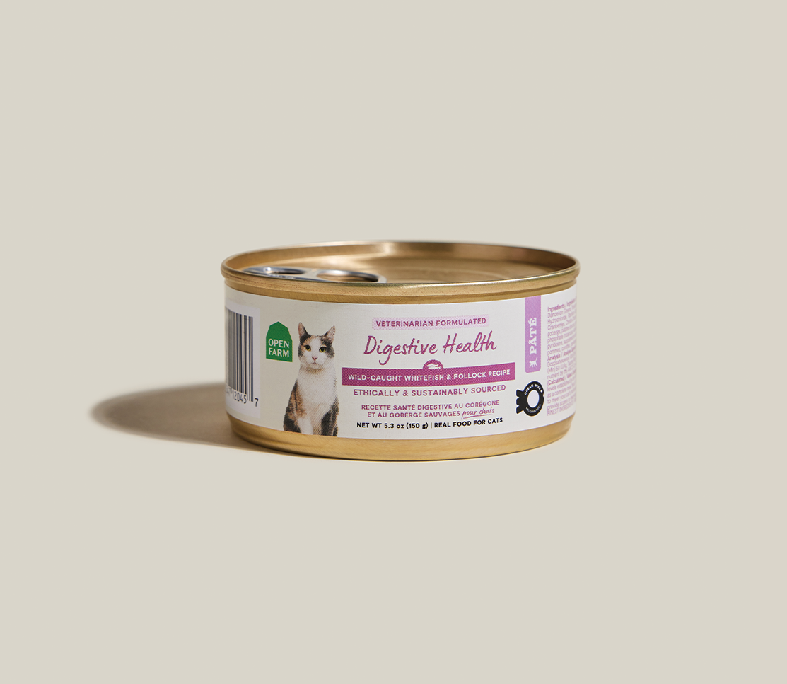 Wild-Caught Whitefish & Pollock Digestive Health Pâté for Cats