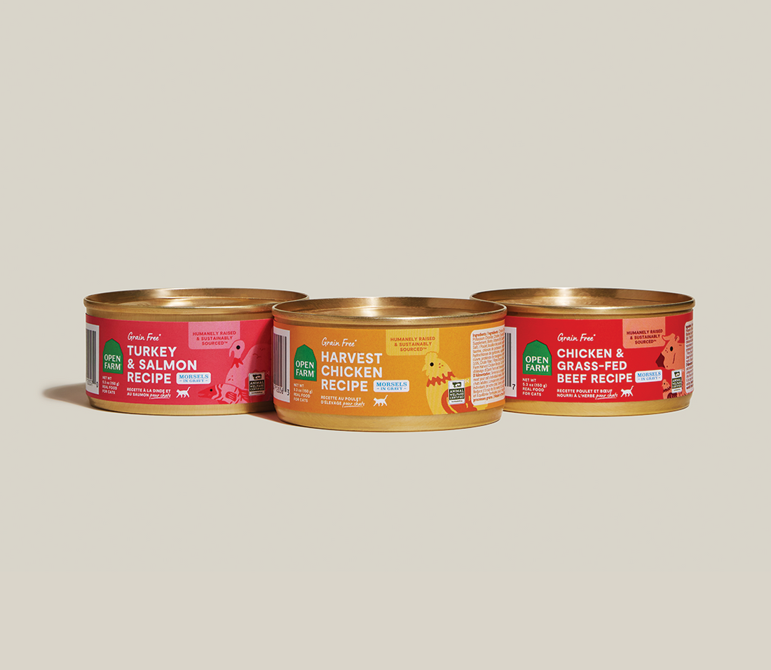 Morsels in Gravy Variety Pack for Cats – Open Farm