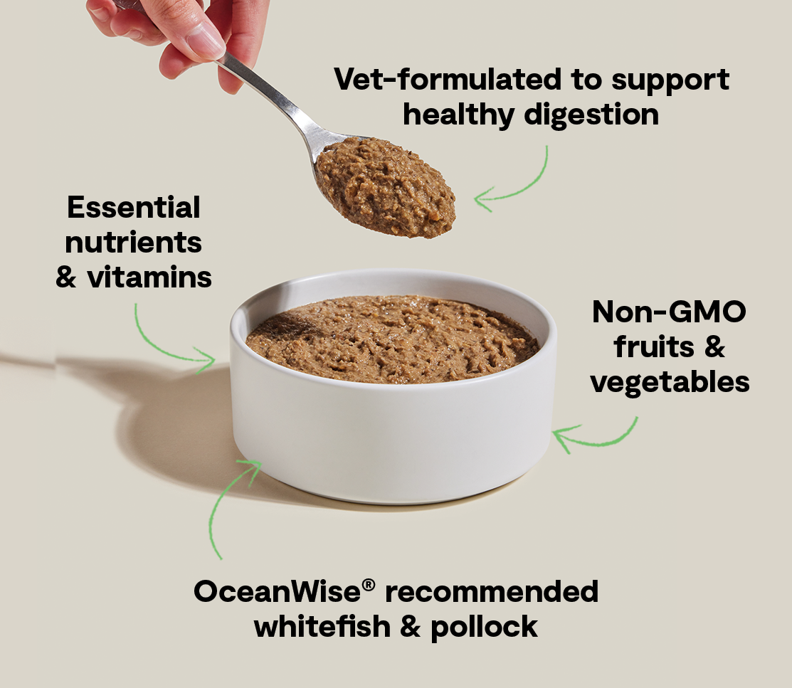 Wild-Caught Whitefish & Pollock Digestive Health Pâté for Cats