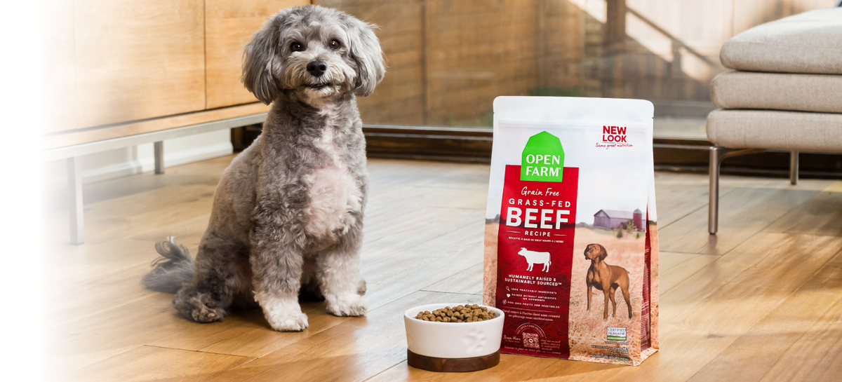 Grain Free & High Protein Dry Dog Food - Open Farm