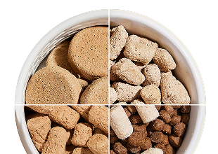 Best Freeze Dried Dog Food for Large Dogs: Top Picks & Benefits