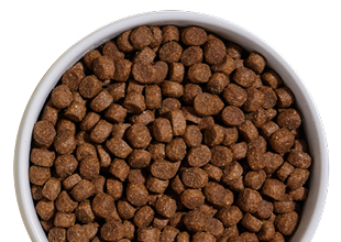 Grain Free & High Protein Dry Dog Food - Open Farm