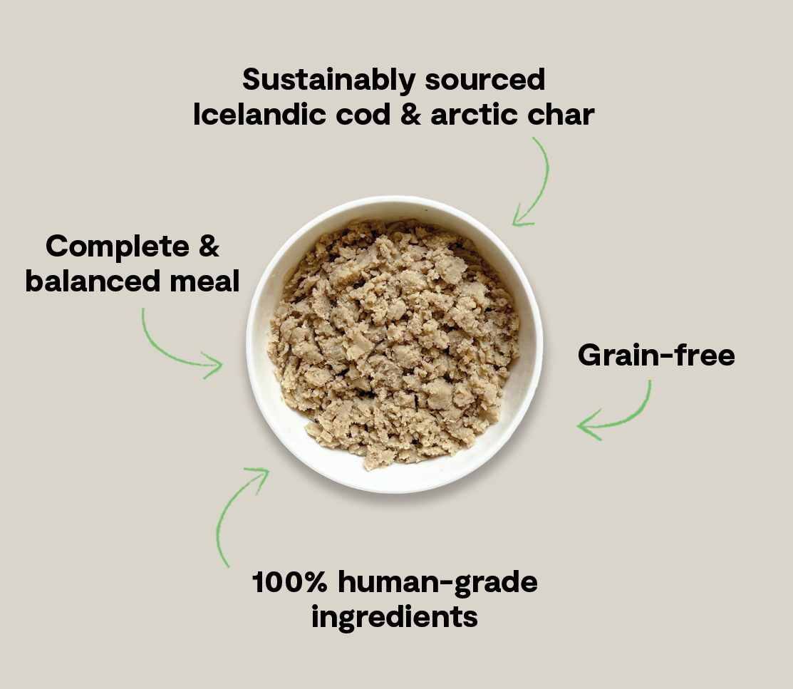 Icelandic Cod & Arctic Char Wet Food for Dogs