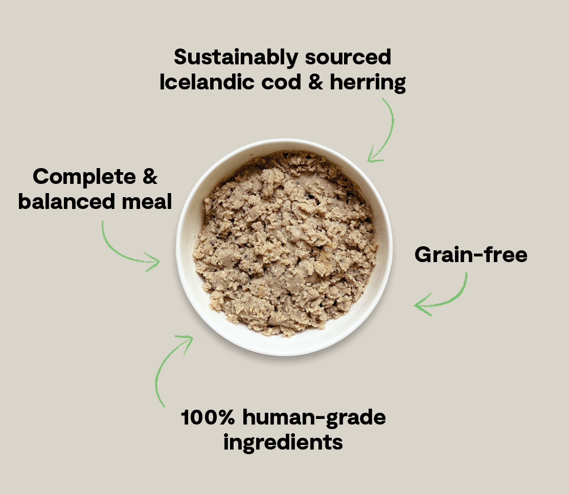 Icelandic Cod & Herring Wet Food for Dogs