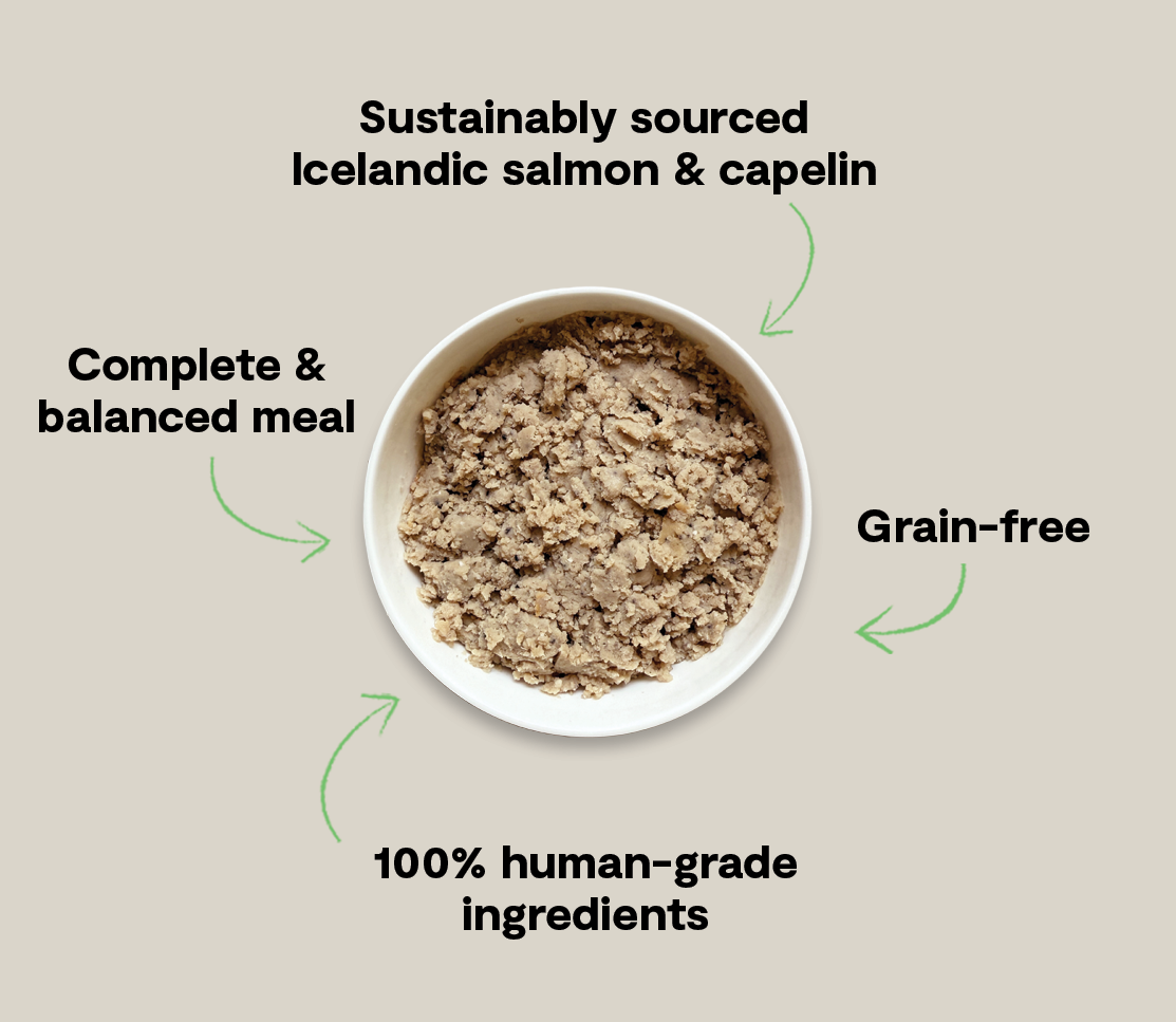 Icelandic Salmon & Capelin Wet Food for Dogs