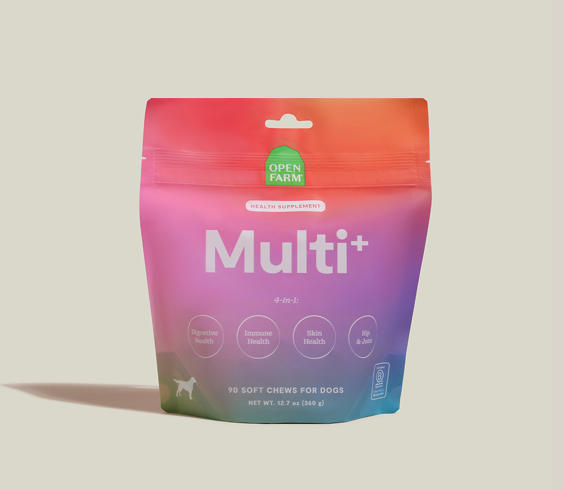 Multi+ Health Supplement Chews for Dogs