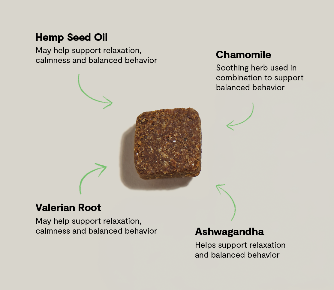 Calming Health Supplement Chews for Dogs
