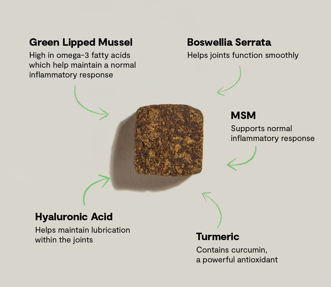 Hip & Joint Health Supplement Chews for Dogs