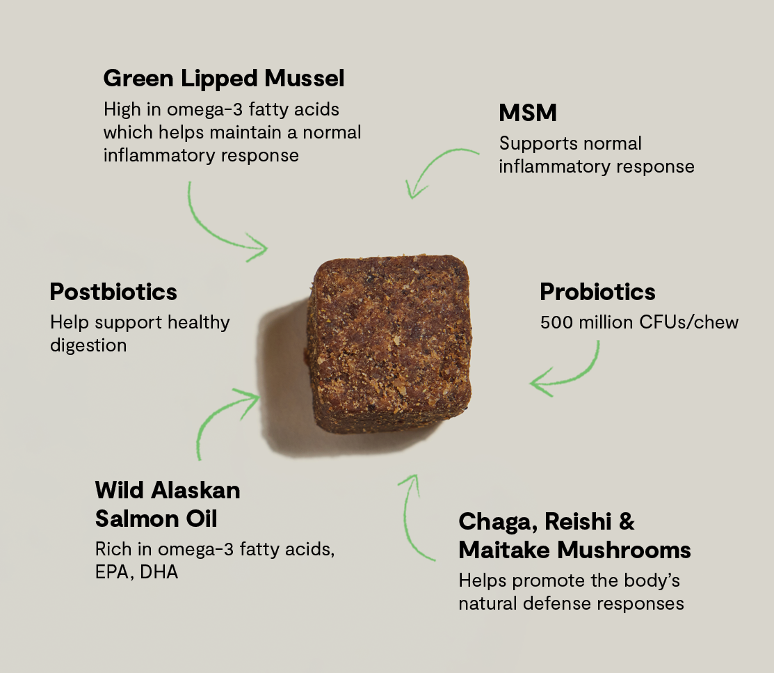 Multi+ Health Supplement Chews for Dogs