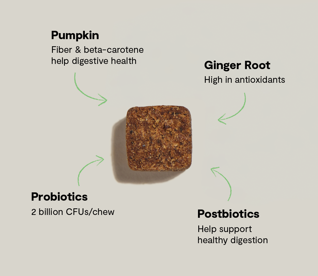 Probiotic Food Supplement Chews for Dogs