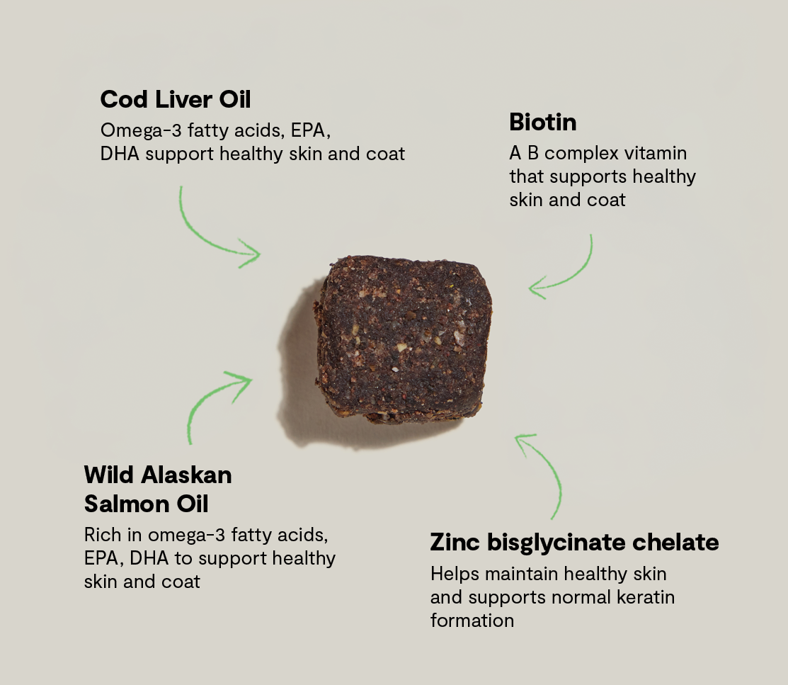 Skin & Coat Food Supplement Chews for Dogs