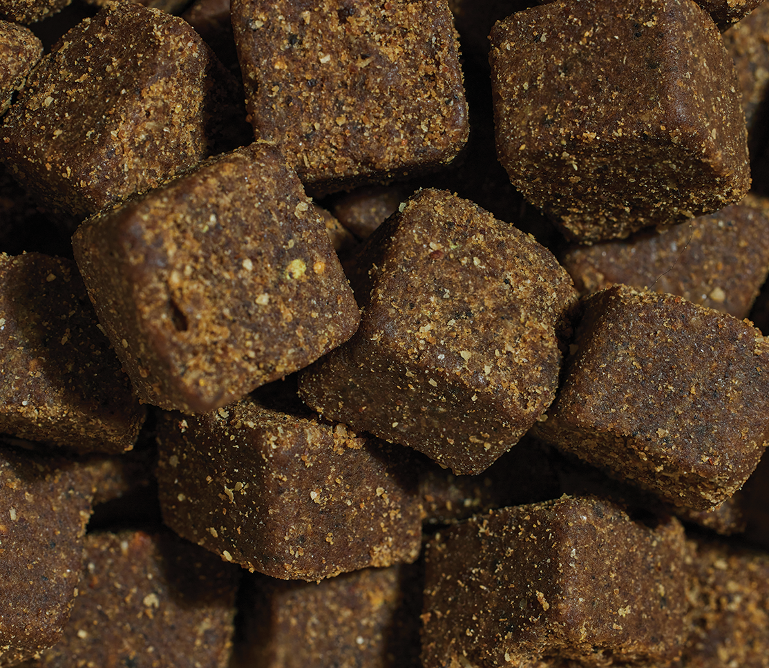 Multi+ Health Supplement Chews for Dogs
