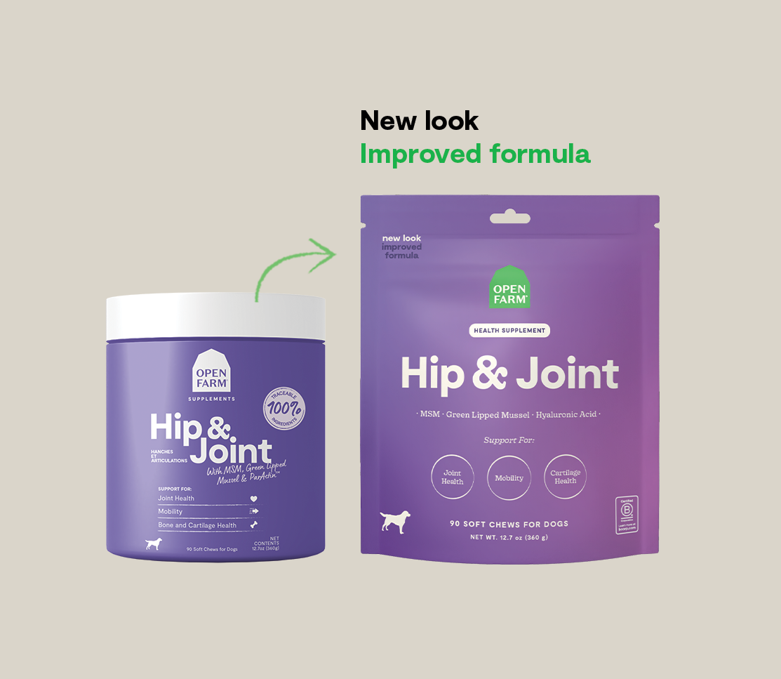 Hip & Joint Health Supplement Chews for Dogs