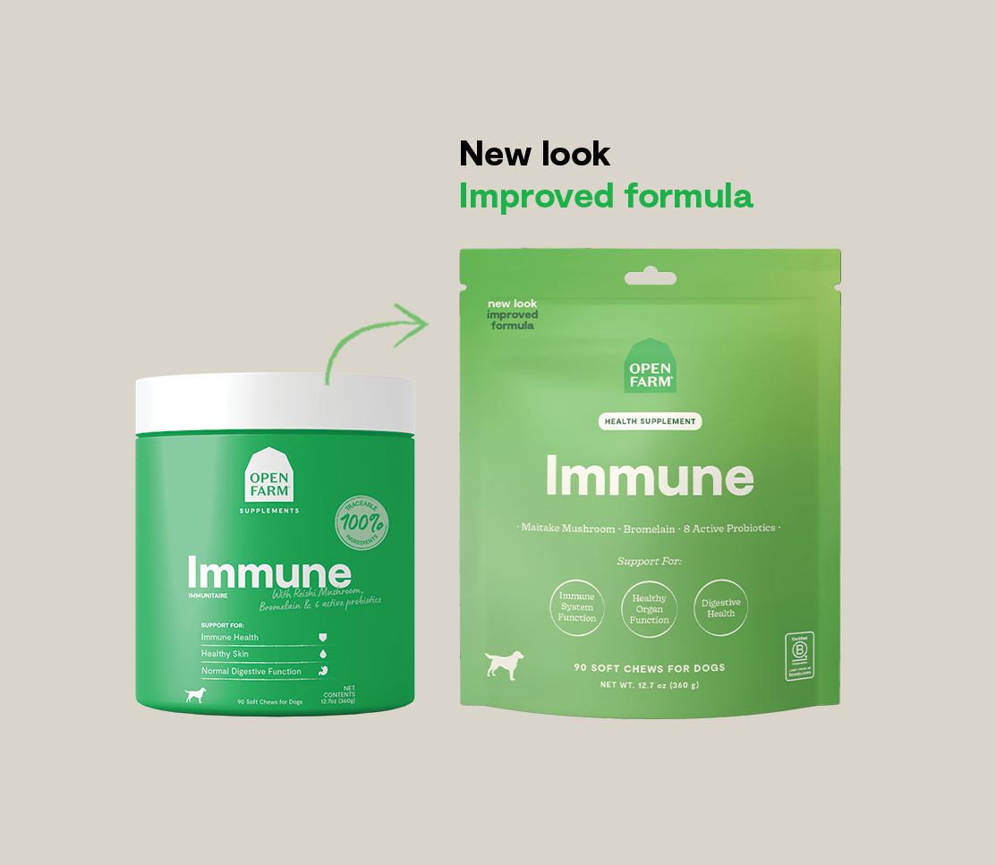 Immune Health Supplement Chews for Dogs