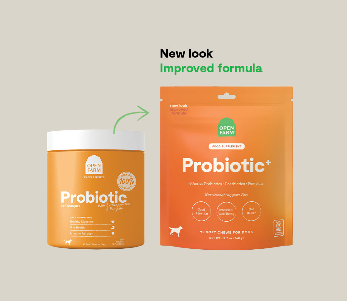 Probiotic Food Supplement Chews for Dogs