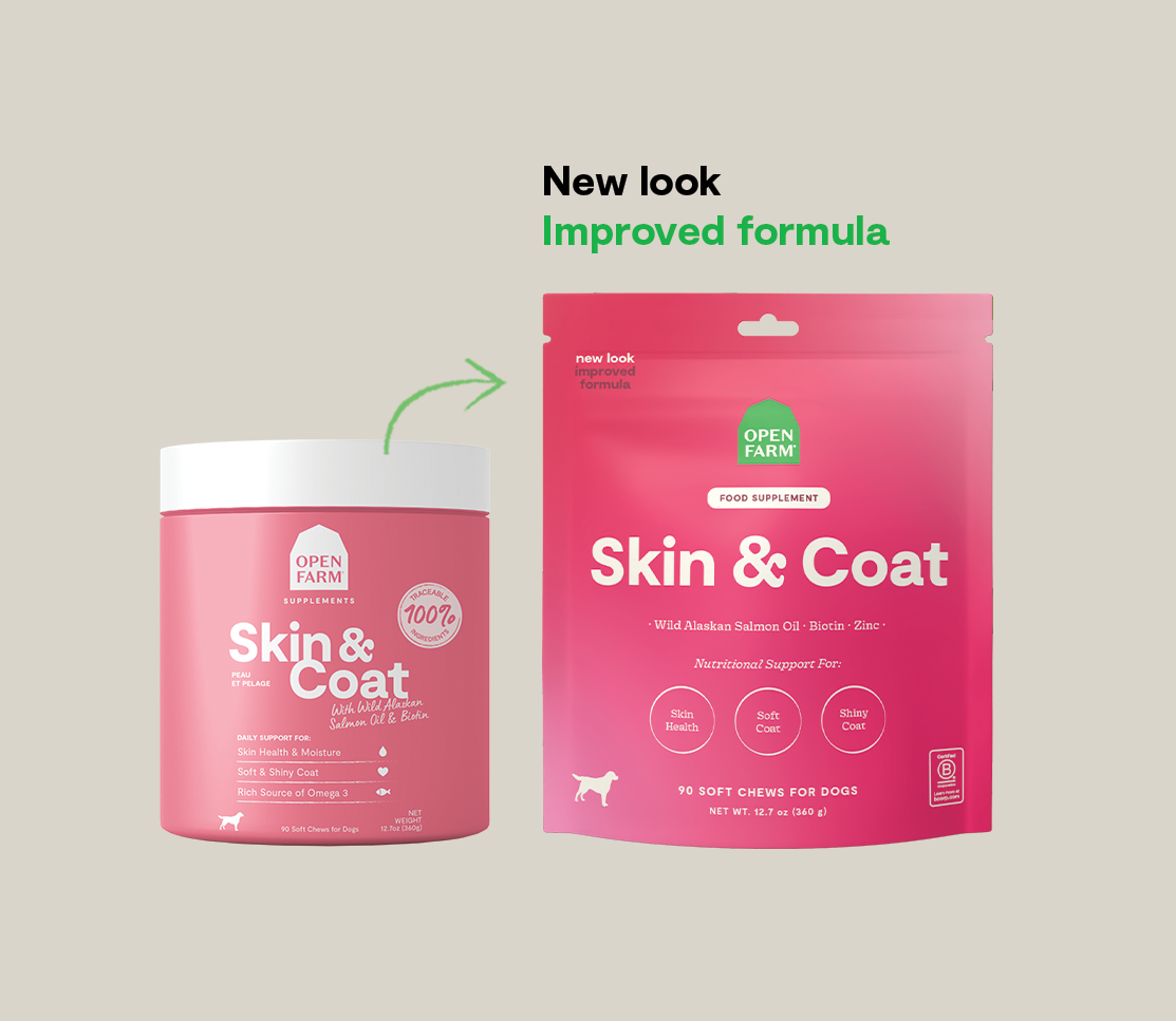 Skin & Coat Food Supplement Chews for Dogs