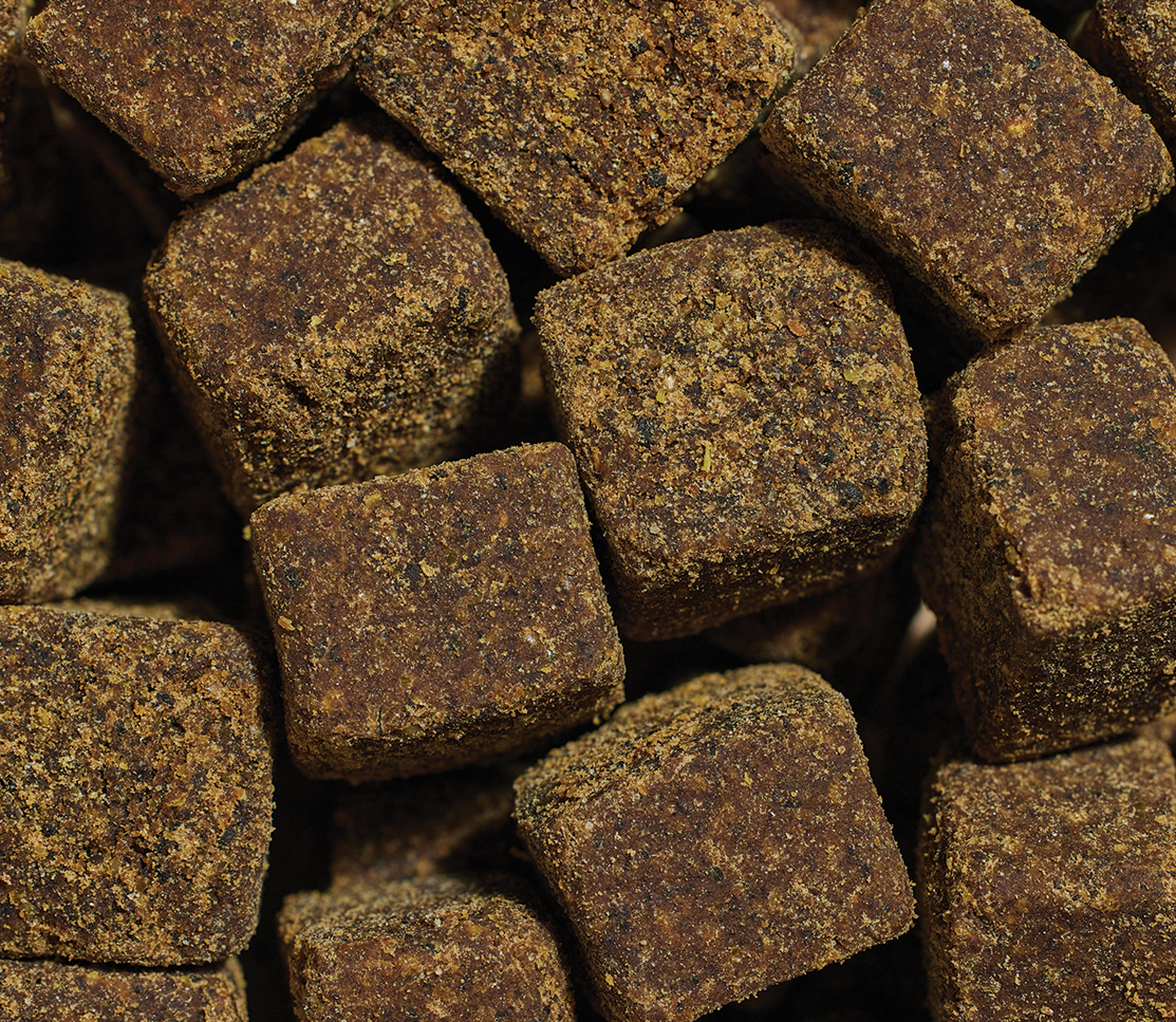 Hip & Joint Health Supplement Chews for Dogs