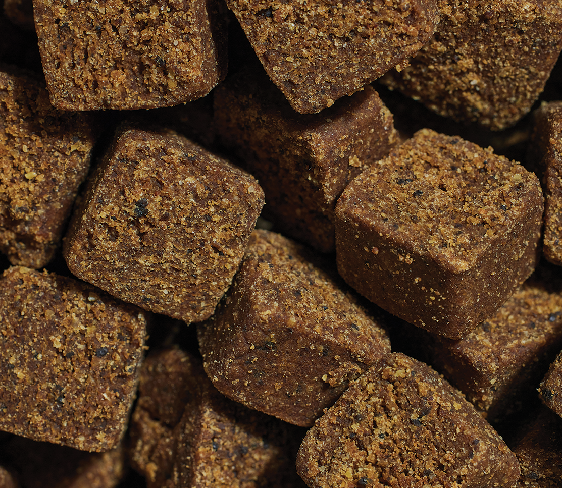 Probiotic Food Supplement Chews for Dogs