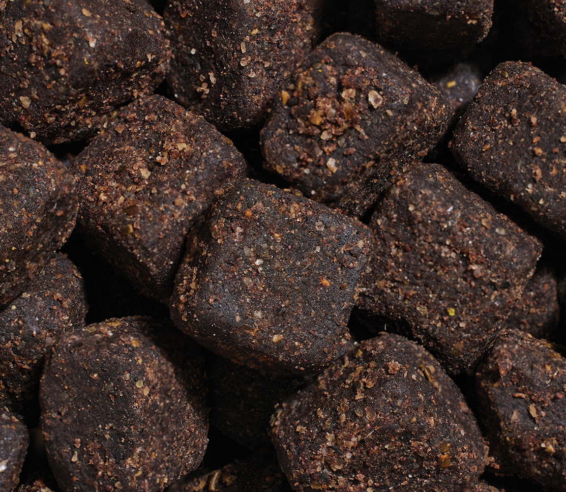Skin & Coat Food Supplement Chews for Dogs