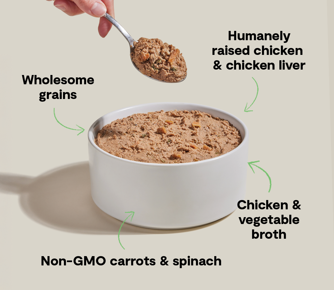 Goodbowl™ Harvest Chicken Pâté for Dogs