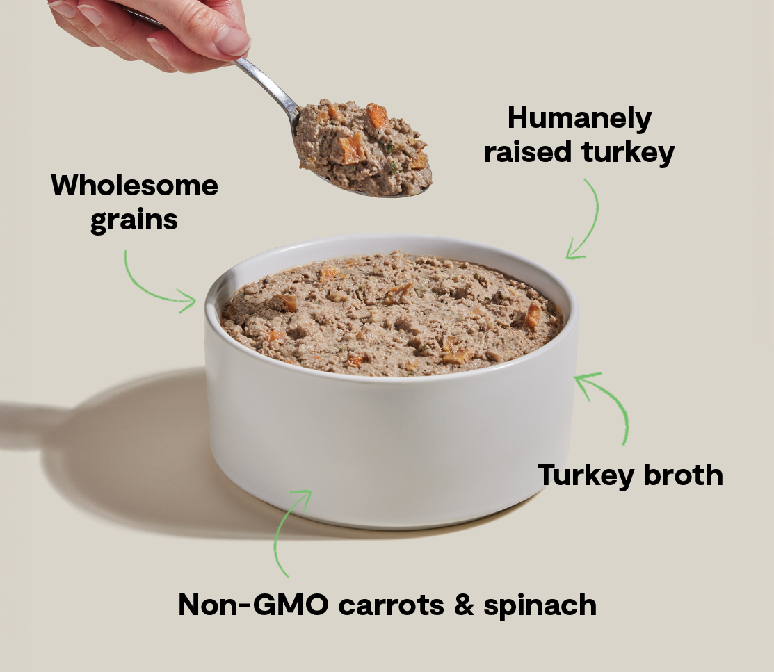 Goodbowl™ Homestead Turkey Pâté for Dogs – Open Farm Goodbowl™ Homestead Turkey Pâté for Dogs – Open Farm