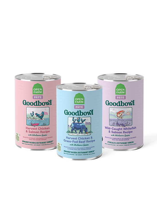 Goodbowl Variety Pack for Dogs by Open Farm