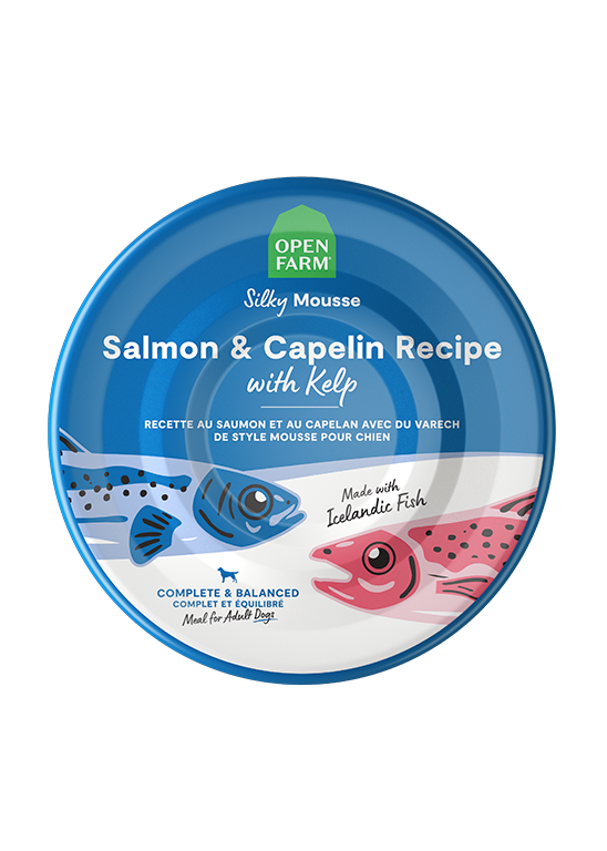 Icelandic Salmon & Capelin Wet Food for Dogs by Open Farm