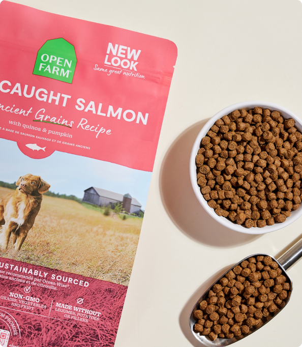 Wild Caught Salmon Grain Free Dry Dog Food - High Fiber Dog Food – Open ...