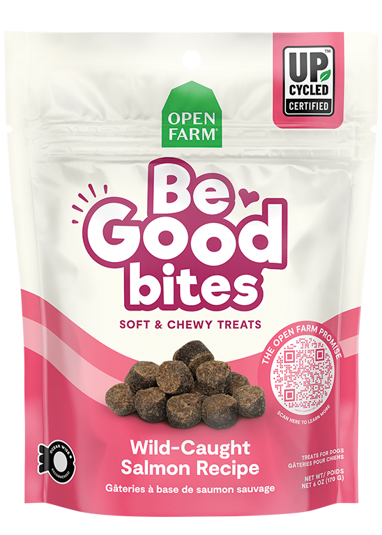 Be Good Bites Wild-Caught Salmon Recipe Treats by Open Farm